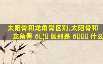 太阳骨和龙角骨区别,太阳骨和龙角骨 🦍 区别是 💐 什么